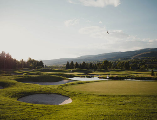 Cedarwood Estates — The Ultimate Mansion Cluster at Jumeirah Golf Estates, Dubai